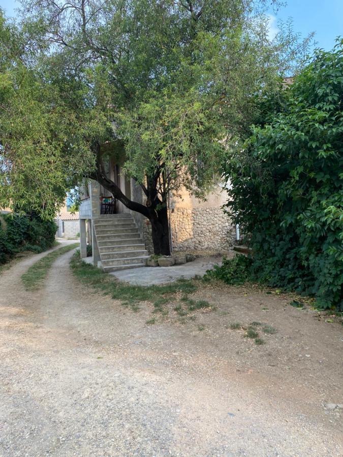 Maison A 20 Min Des Plages De Sainte Maxime Ле-Мюи Экстерьер фото